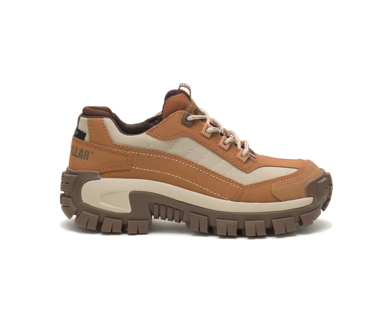 Caterpillar Invader Steel Punta Donna Scarpe Lavoro Marroni | OSUWQZM-52