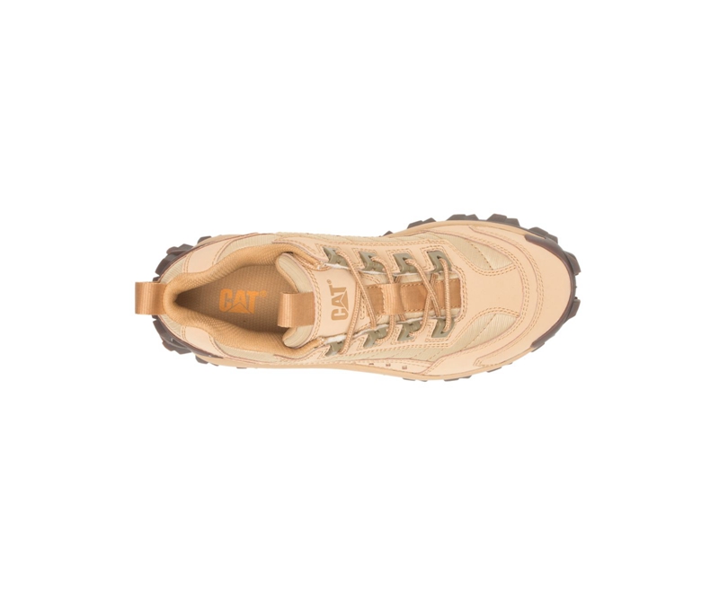 Caterpillar Intruder Donna Scarpe Casual Beige | GAWLMUQ-08