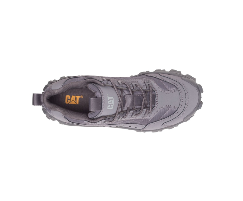 Caterpillar Intruder Donna Scarpe Casual Grigie Scuro | VORMYJK-63