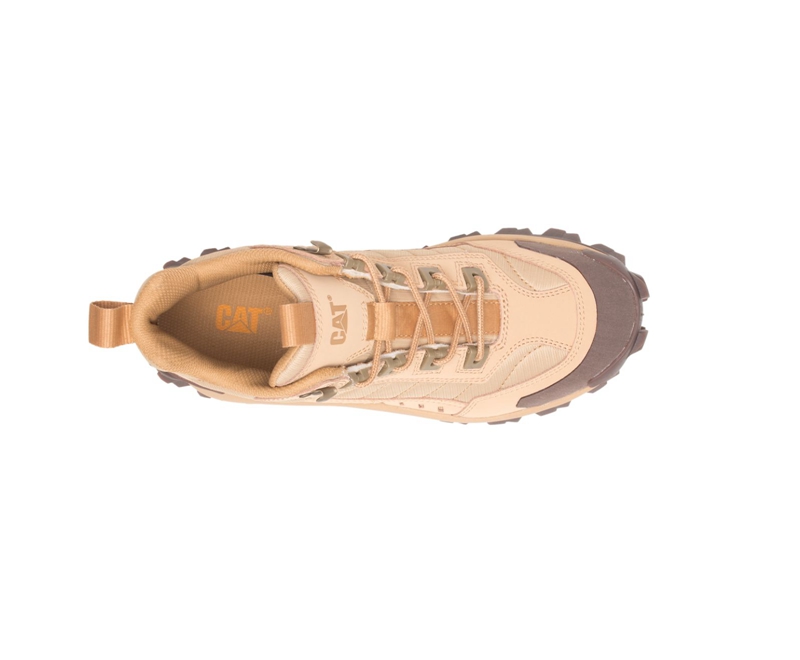 Caterpillar Intruder Mid Donna Scarpe Da Ginnastica Beige | VIRCUQM-94