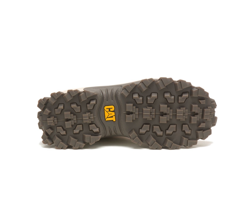 Caterpillar Intruder Uomo Scarpe Casual Grigie | NCWSKYJ-52