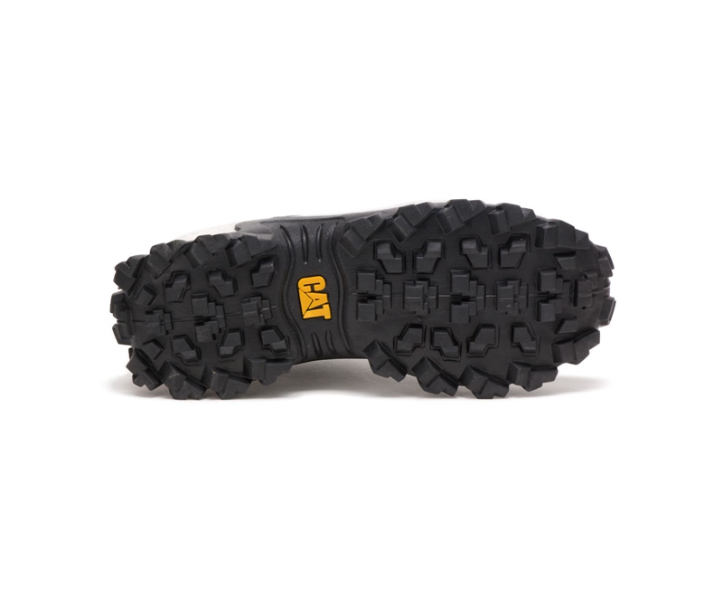 Caterpillar Intruder Uomo Scarpe Casual Nere Bianche | UTMIROK-71