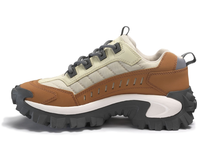 Caterpillar Intruder Uomo Scarpe Casual Colorate | ZTLWRAH-56