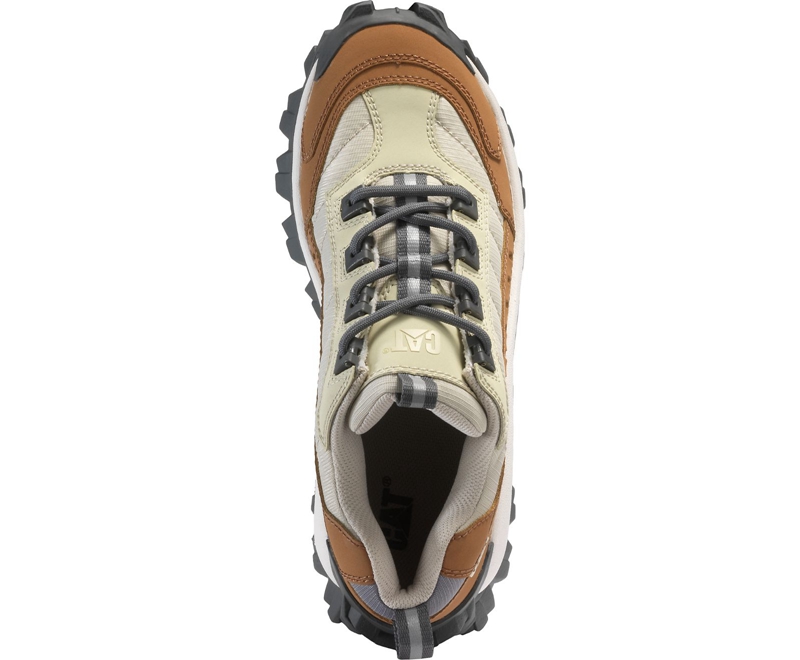 Caterpillar Intruder Uomo Scarpe Casual Colorate | ZTLWRAH-56