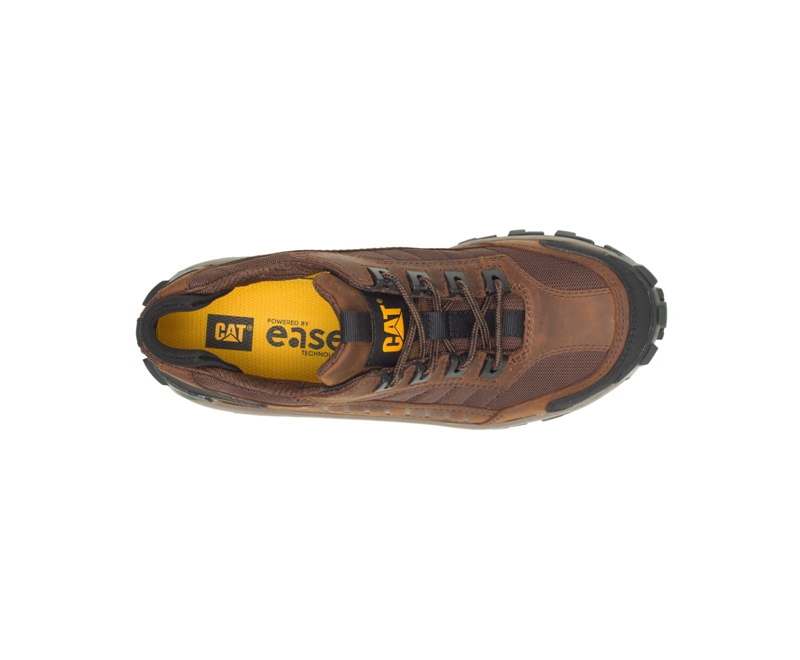 Caterpillar Invader Steel Punta Uomo Scarpe Lavoro Marroni Scuro | JTNLBCE-30